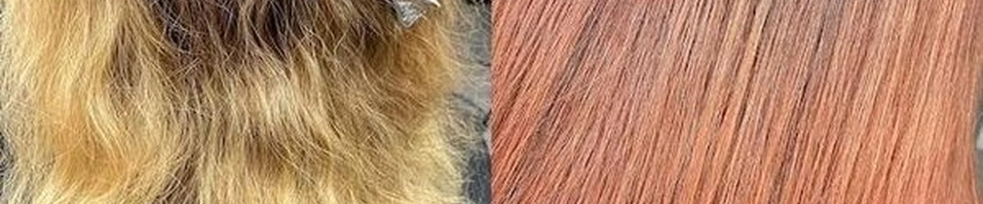 Чубчик в Санкт-петербурге улица Латышских Стрелков, 15 к2