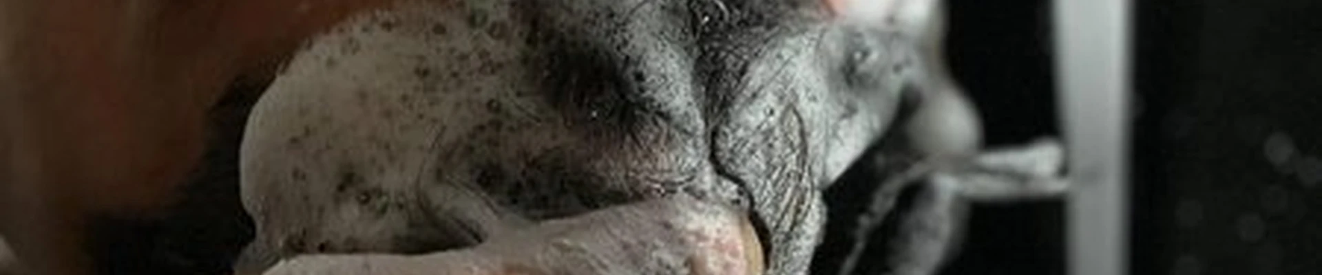 По-Братски в Уфе Ульяновых, 46