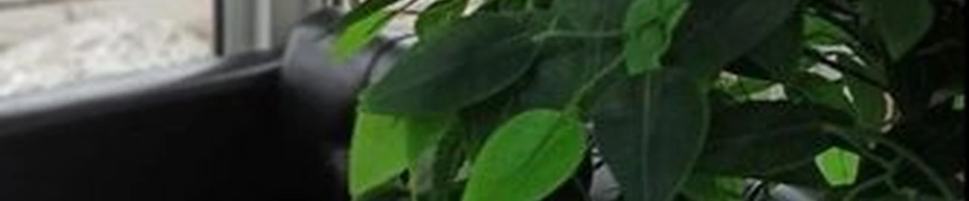 Друзья в Перми Солдатова, 28