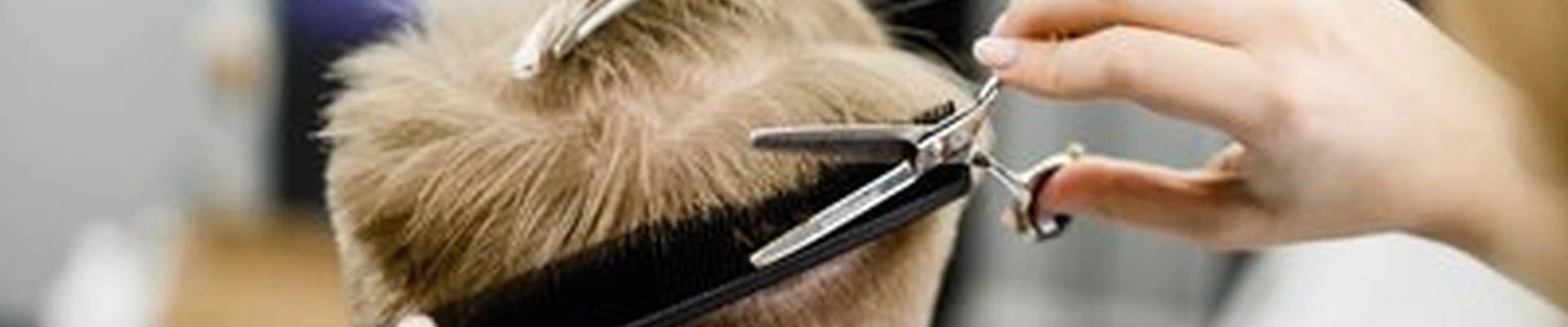 ZEUS в Казани улица Юлиуса Фучика, 145а