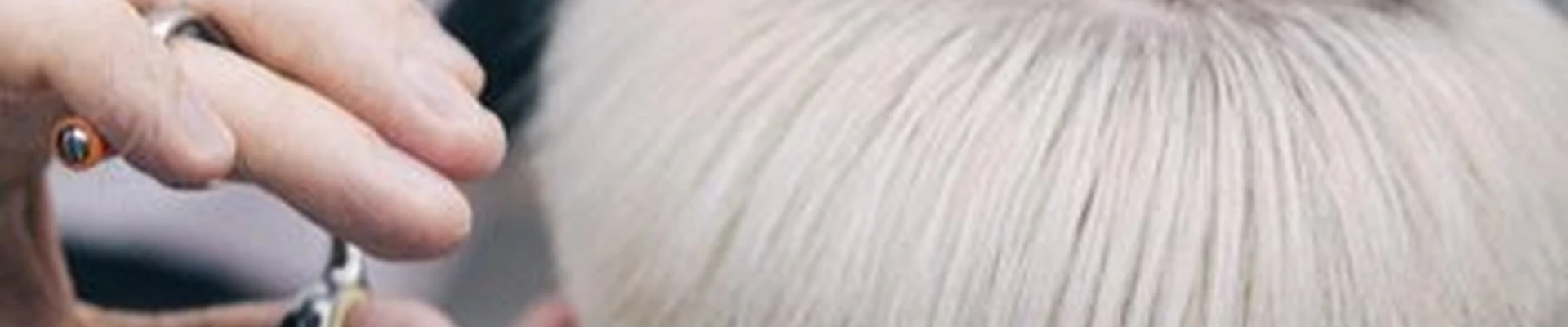 Батя в Калининграде Черняховского улица, 20-24