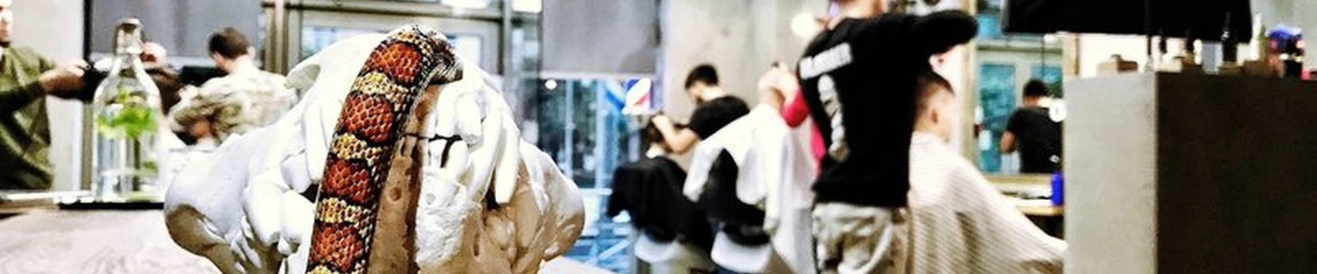 Barberians Moscow
