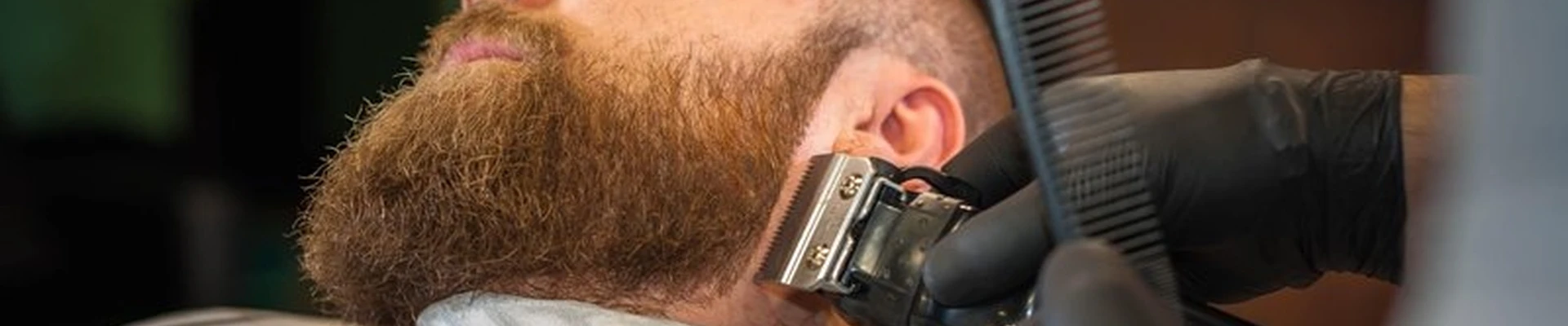 Mr.Boroda в Ивантеевке Центральный проезд, 17