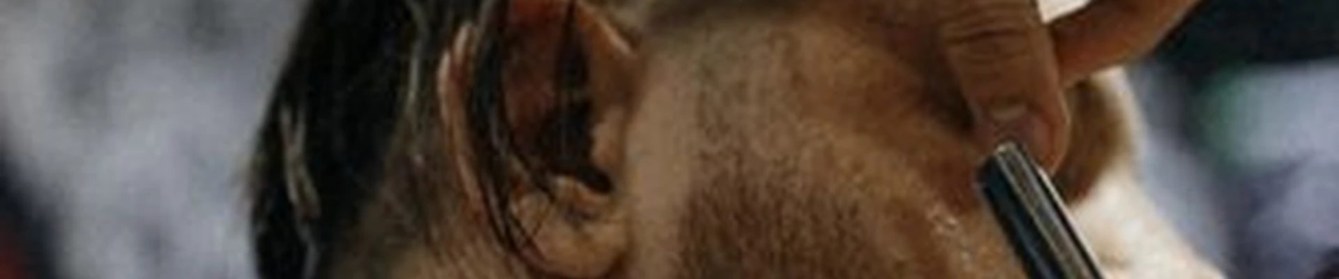 Wild в Джанкое улица Свердлова, 32а