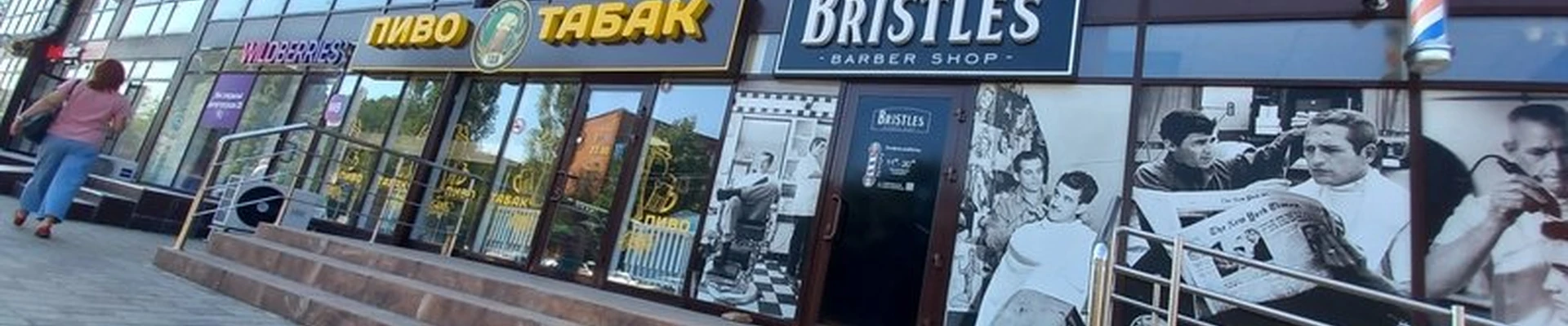 Bristles