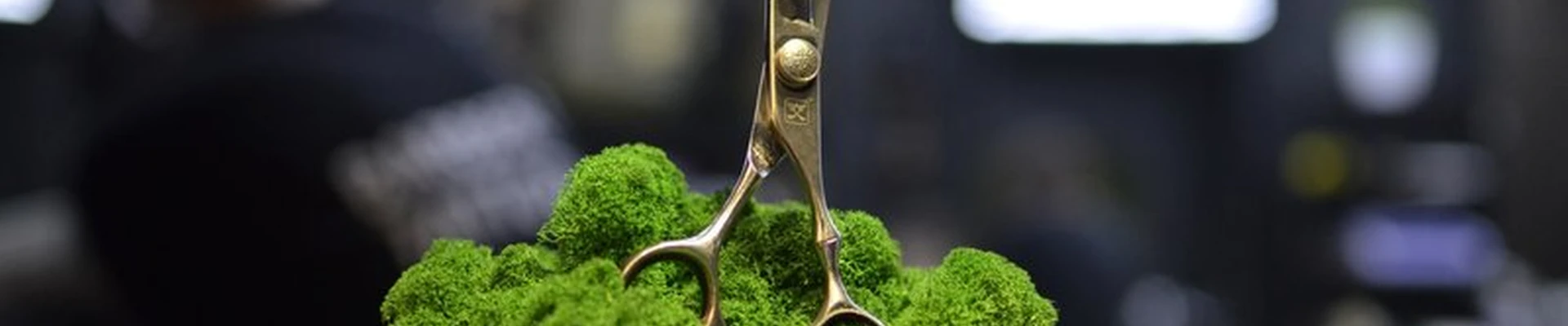 Ichi Barber&Tattoo