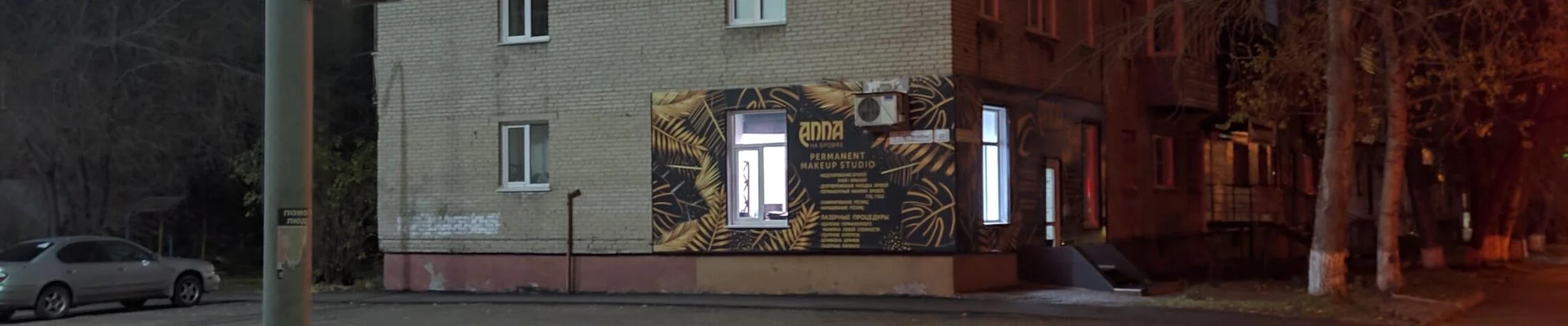 Анна на бровях