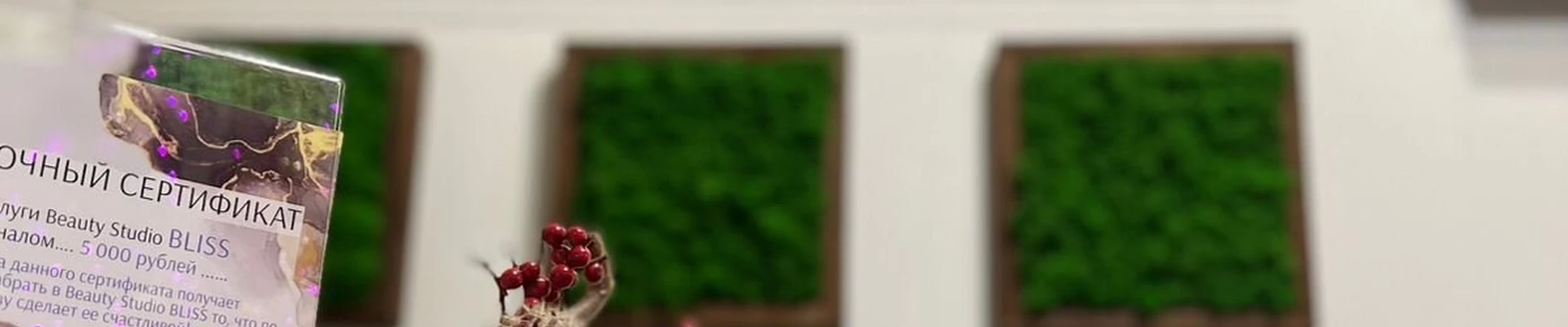 BLISS в Рязани Россия, Рязань, улица Свободы, 43, 1 этаж