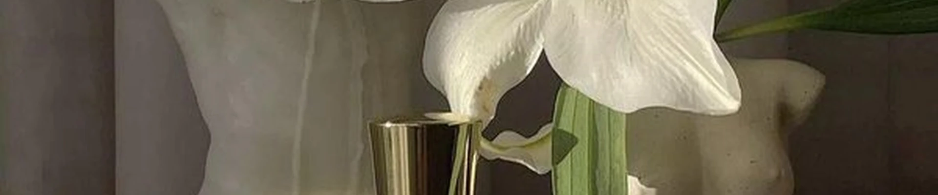Parfum&cosmetics