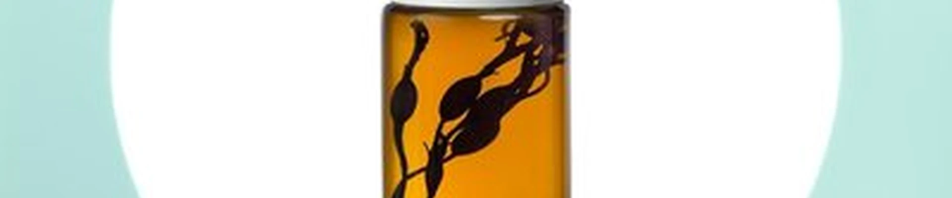 Архангельские водоросли