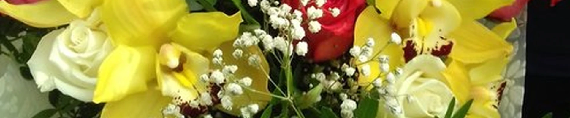 Камелия в Бийске переулок 3 Интернационала, 10а