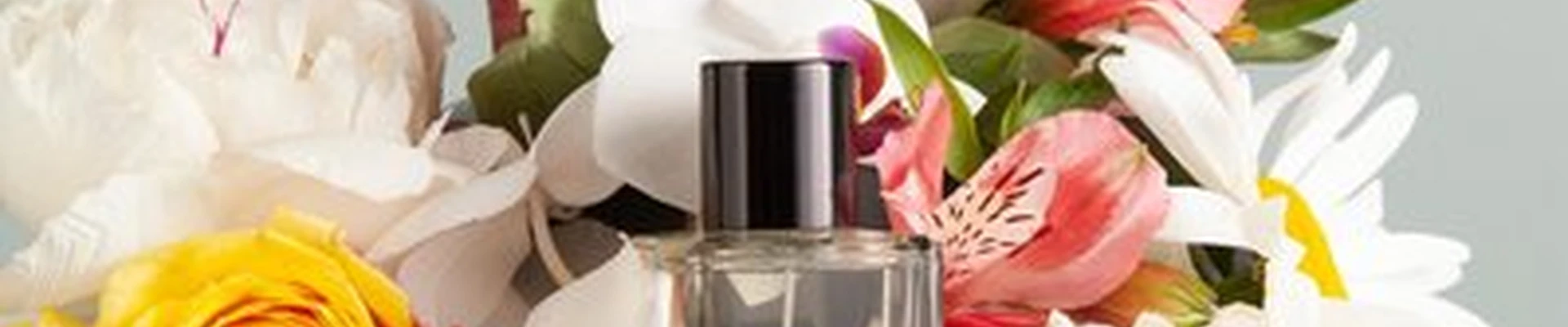Gamma D’oro в Хабаровске улица Суворова, 25