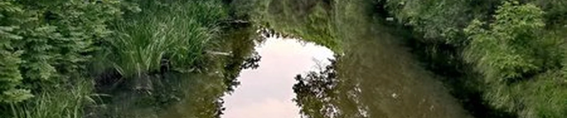 Mary Kay в Благовещенске улица Горького, 87