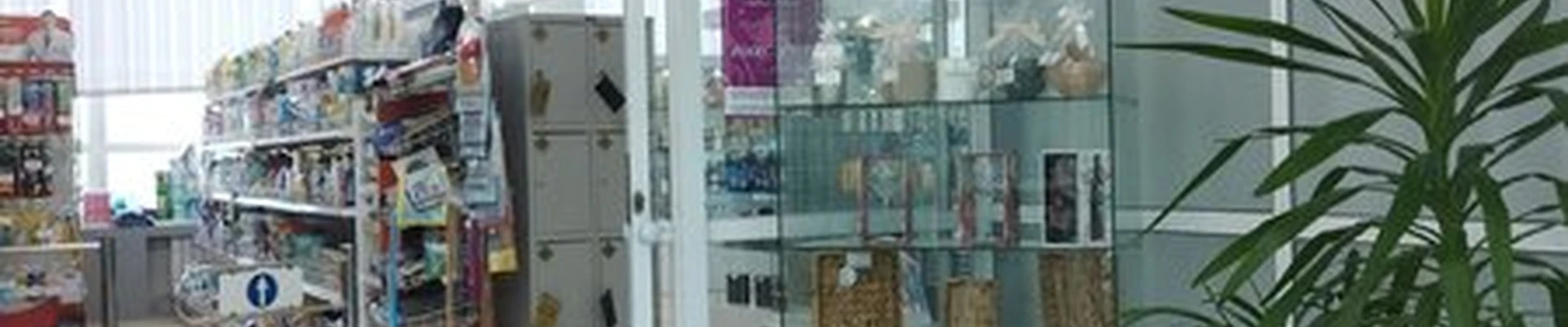 Lady Di в Артёме улица Кирова, 1/1