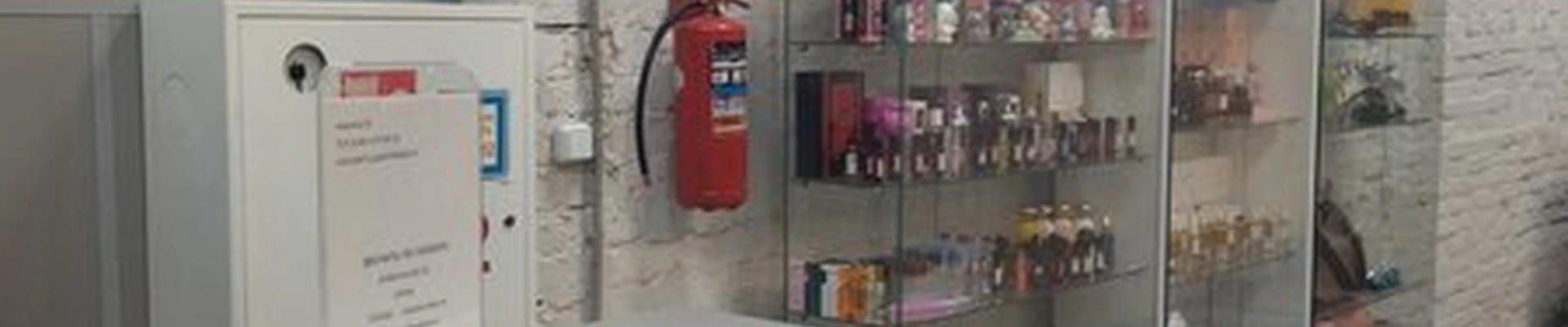 Lisenok shop