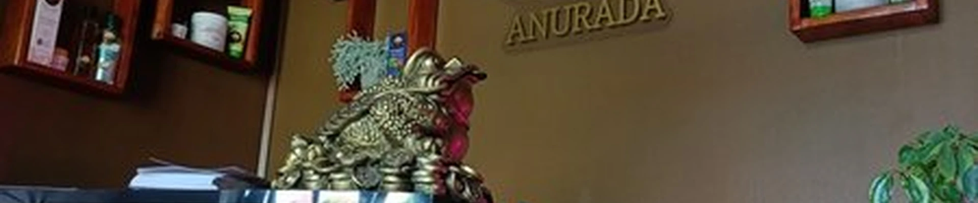 Anurada в Гатчине проспект 25 Октября, 75