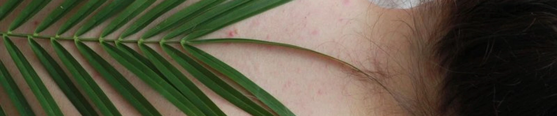 Alma Mater в Москве Ходынский бульвар, 20а