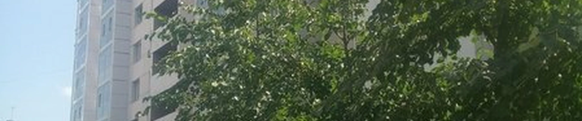 Beauty body в Новосибирске Семьи Шамшиных, 18/1