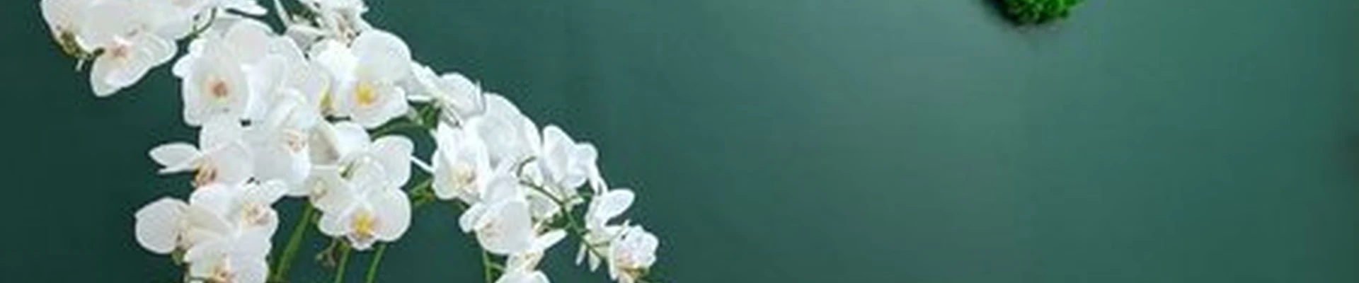 Laser Love в Пскове Красноармейская улица, 2а