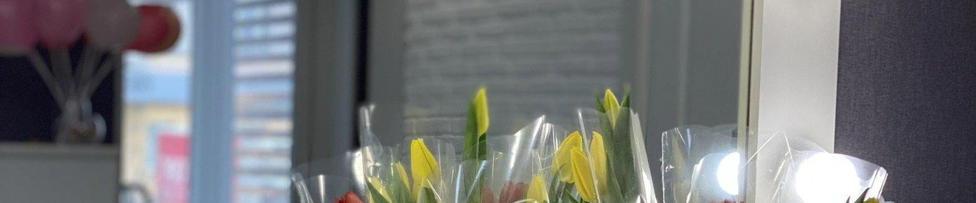 AniBrows в Великий новгороде Новгородская область, Великий Новгород, Большая Московская улица, 61 к1