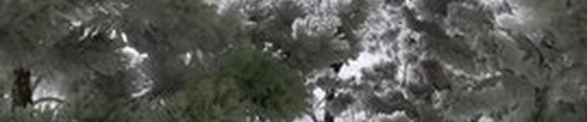 Барбершоп в Омске Транссибирская улица, 6 к1