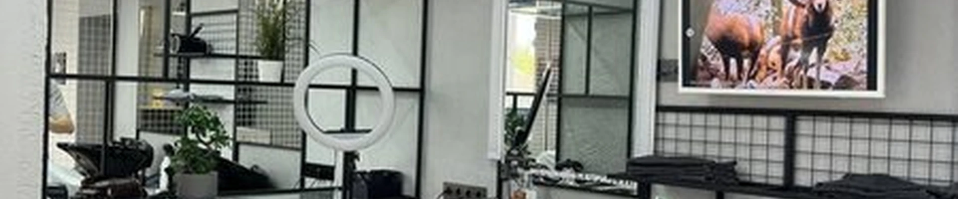 Borodach в Тамбове улица Максима Горького, 31 к1