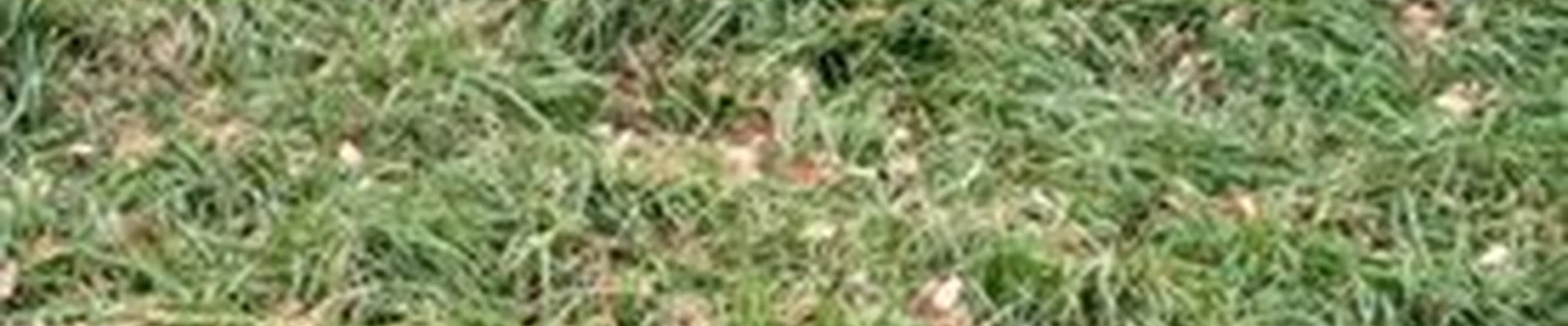 Amway в Советская гавани улица Гончарова, 6