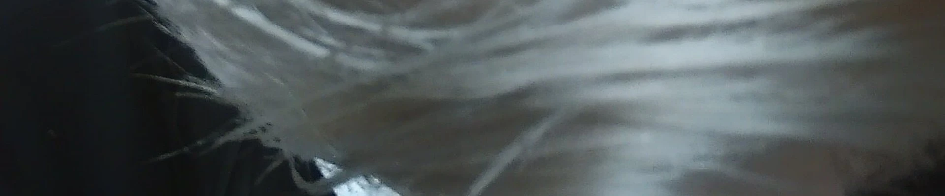 &