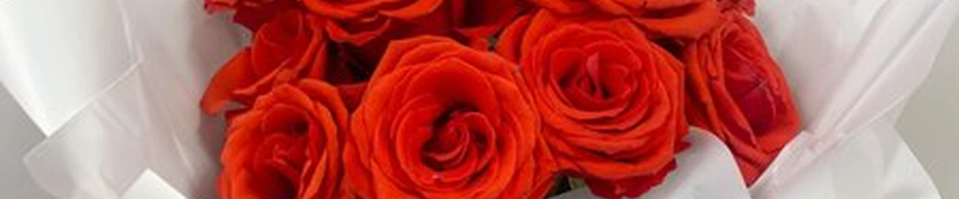 Bloomia