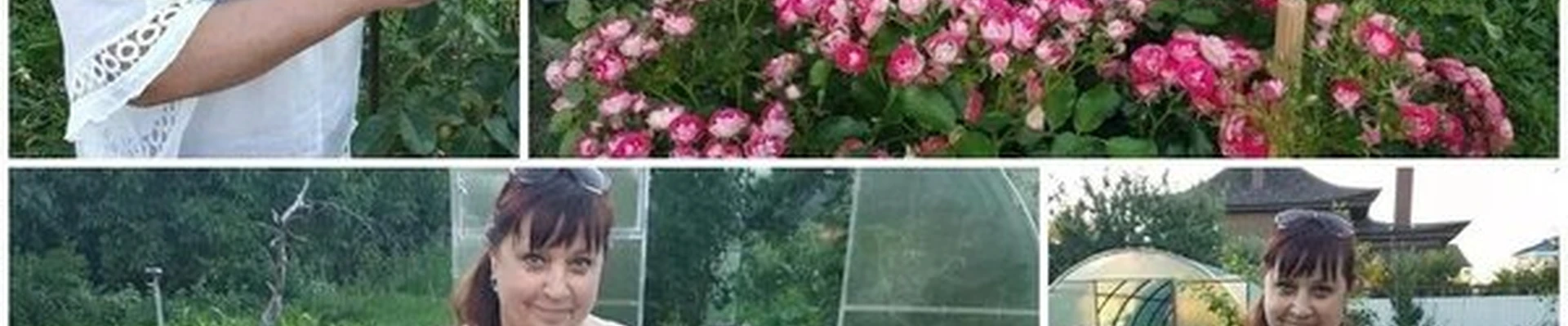 Сияние в Брянске Красноармейская улица, 100