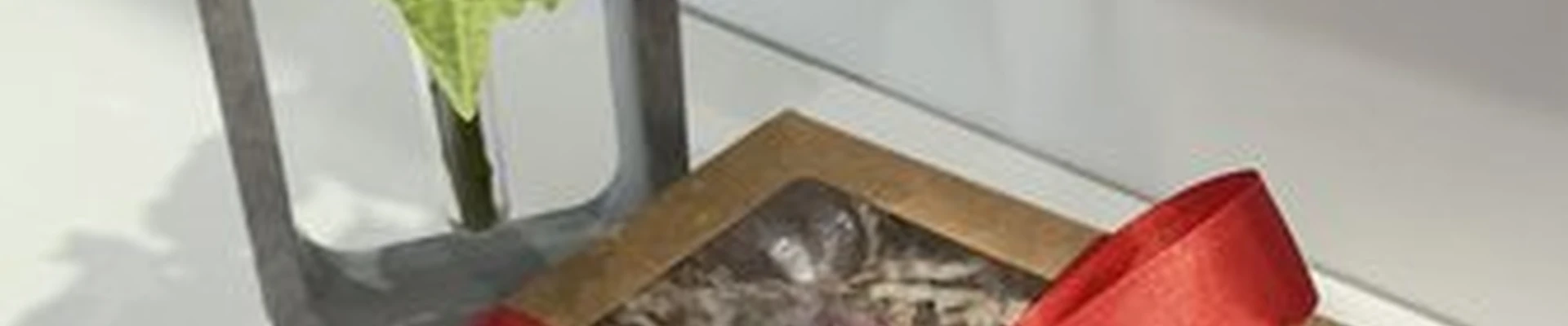 Будь собой в Владивостоке улица Крыгина, 15а