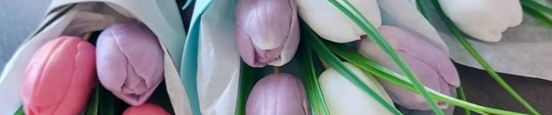 Rezeda Odorata