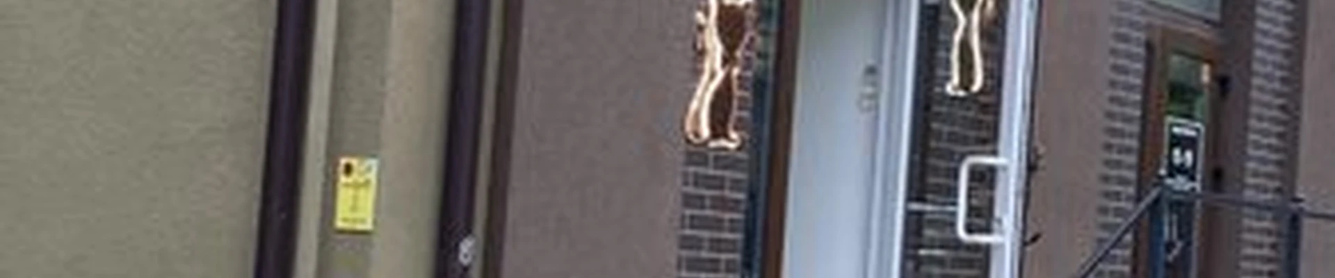 Янтарный дом