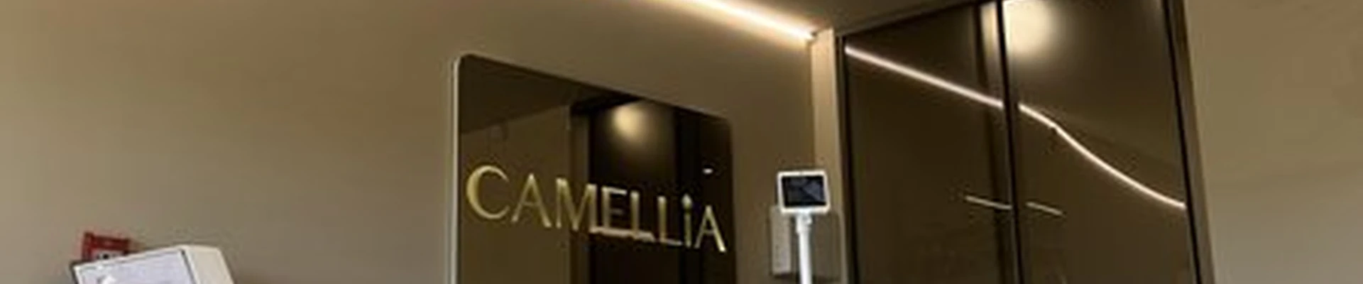 Camellia в Нижний новгороде Лысогорская улица, 89 к3
