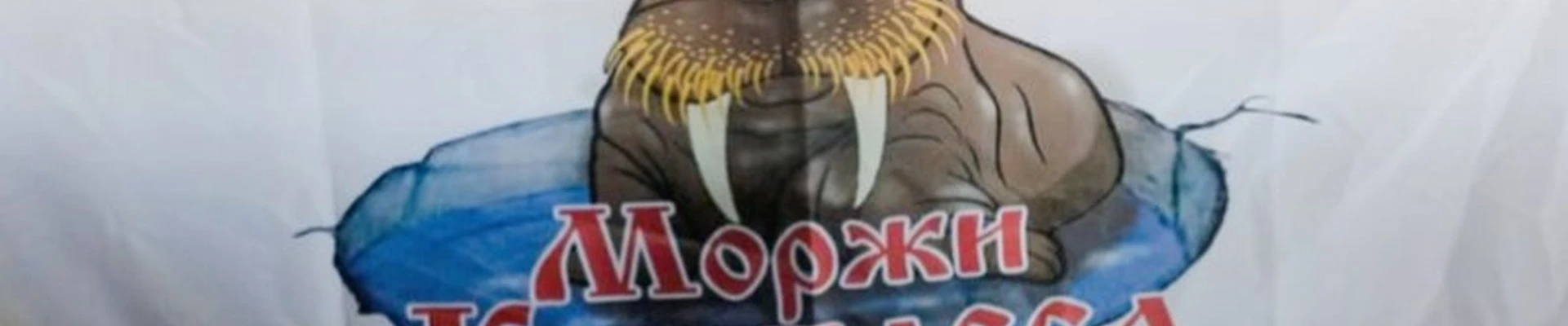 Моржи Кузбасса