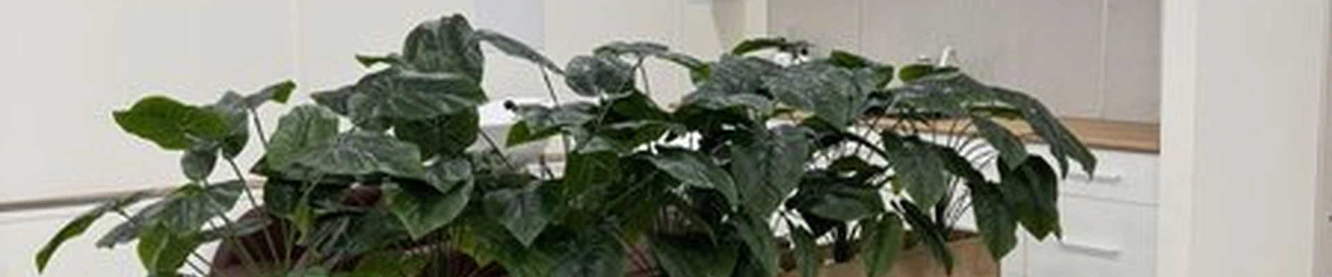 InStyle в Абакане улица Лермонтова, 29