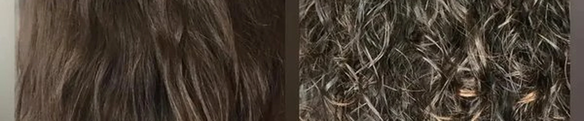 1000 и 1 стрижка