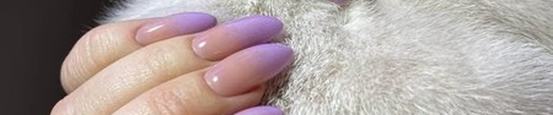 113 nail в Москве Гарибальди улица, 6 к1