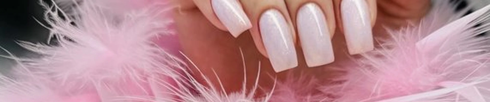 Ani Nails