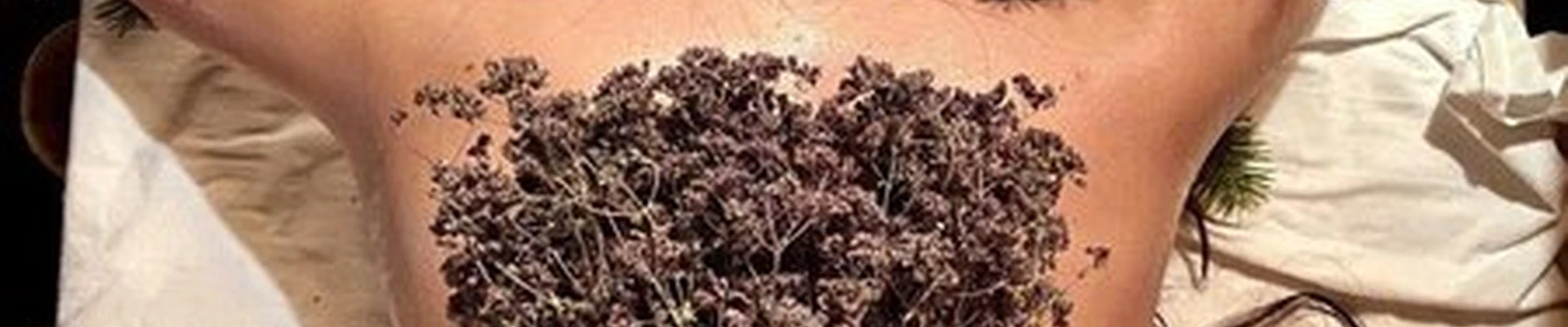 Сибирика СПА в Новосибирске улица Ленина, 21