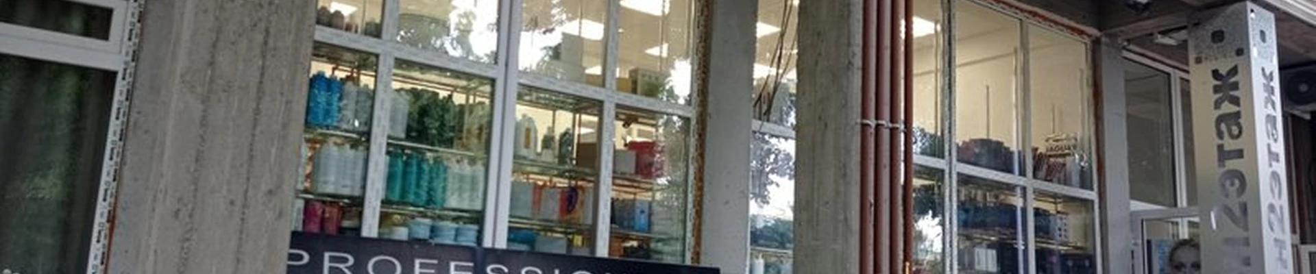 Professionnel