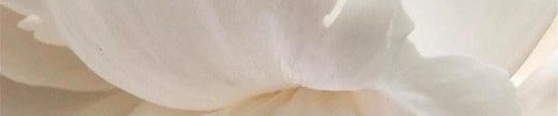 Beauty hall в Уссурийске улица Ленина, 93