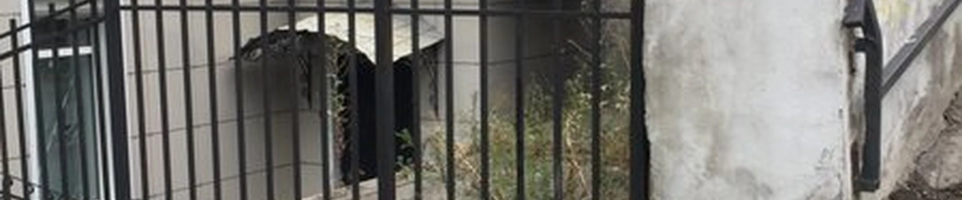 99 лиц в Владивостоке Пушкинская улица, 26