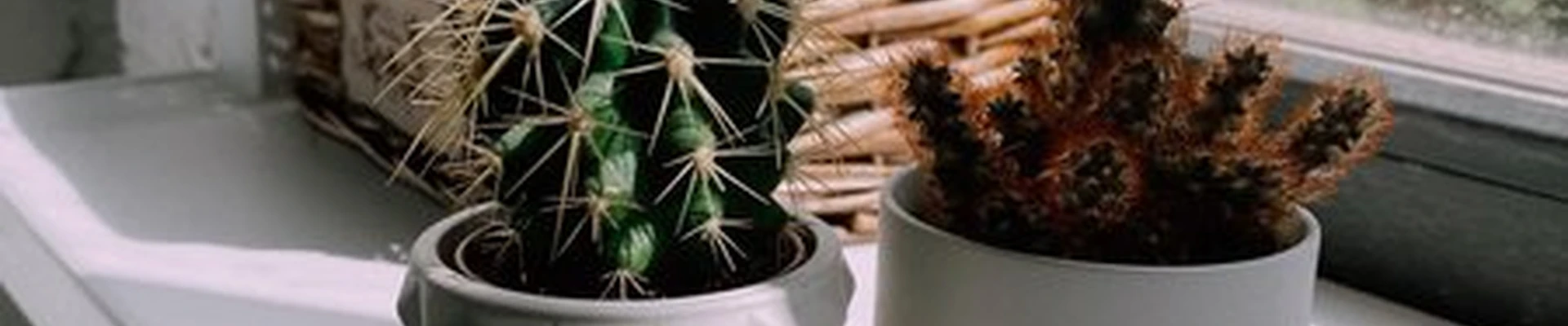 Barbara в Подольске улица Победы, 5