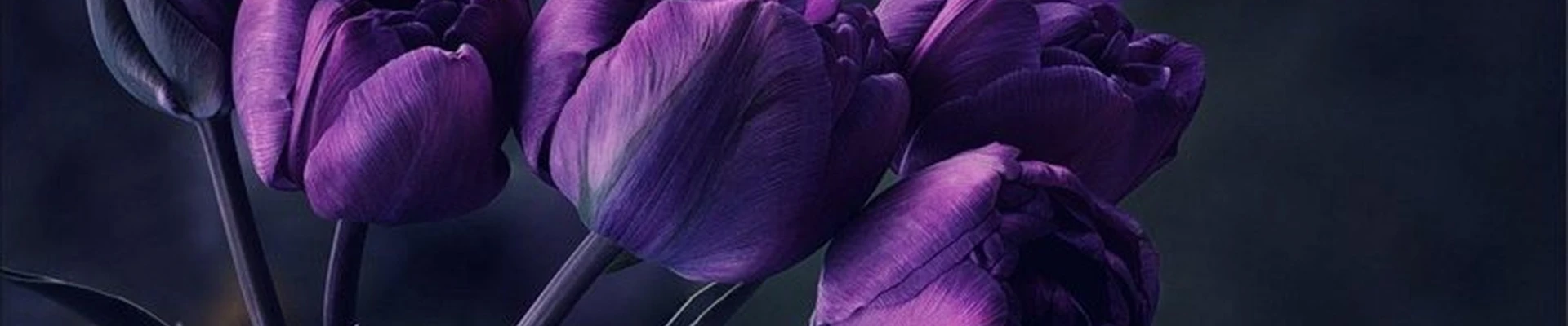Beauty vision