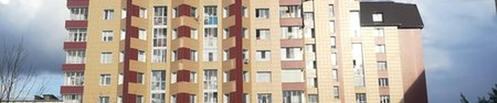 Soknail Professional