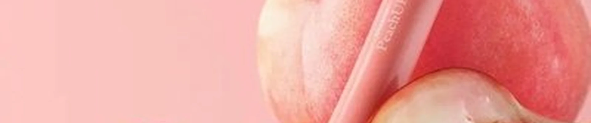 Premier Basic Professional в Петропавловске-камчатском Топоркова, 8/2