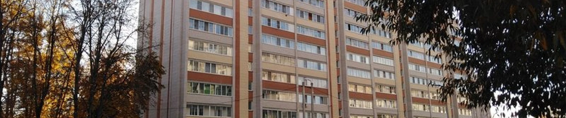 Malecula в Смоленске улица Николаева, 85
