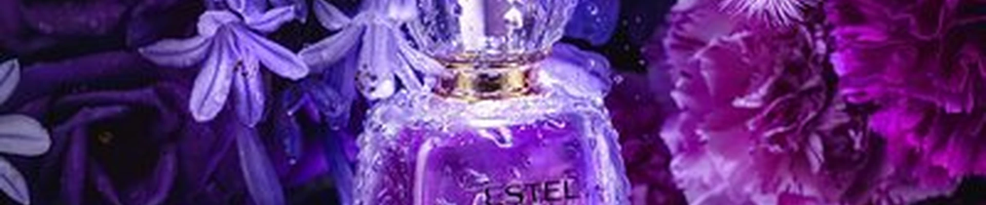 Estel в Будённовске 7-й микрорайон, 21