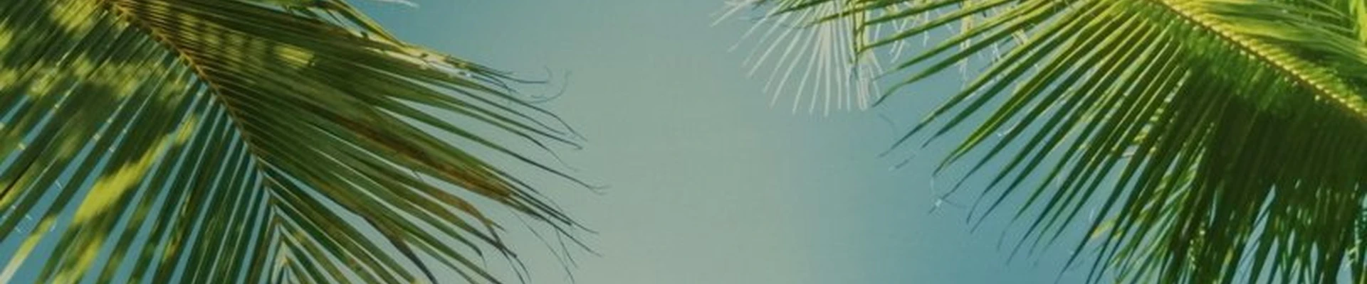 Доктор Соль в Бийске улица Степана Разина, 70